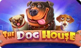 Casino Stellare offre il gioco online The Dog House